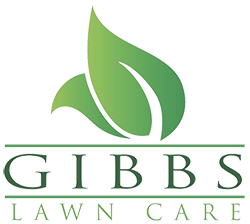 logo-new